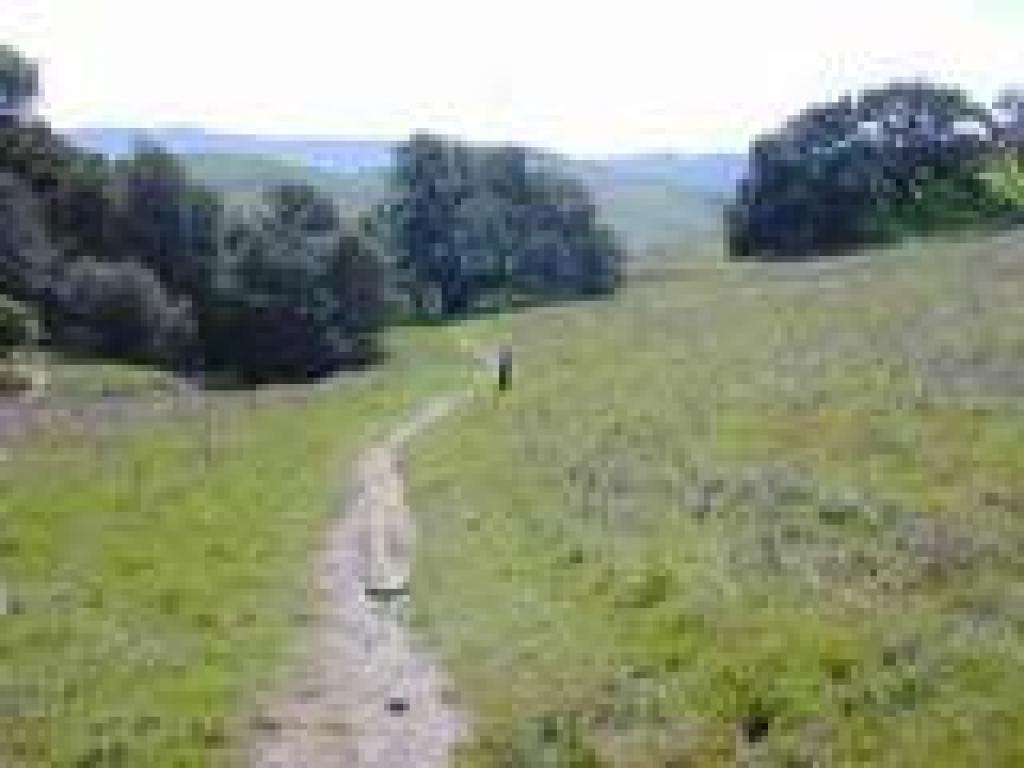 Panorama Trail heads uphill to the right