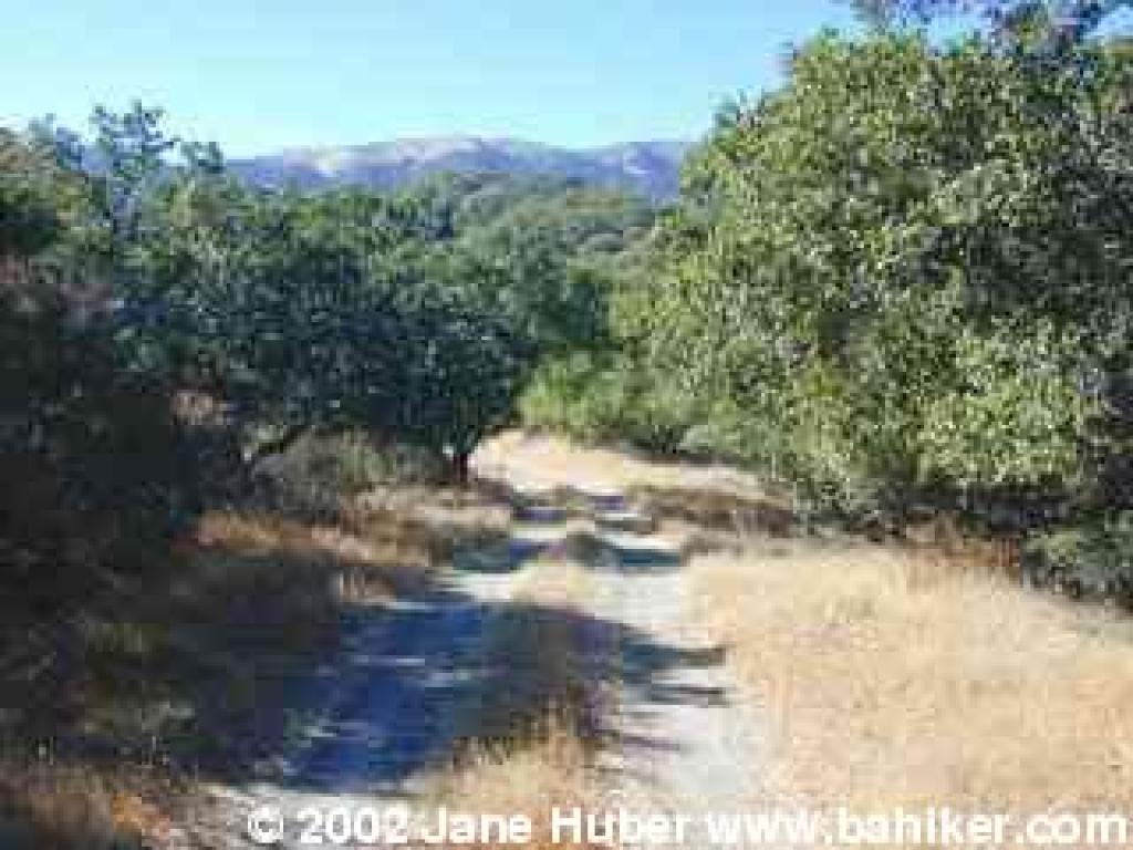 Bay Area Hiker Ignacio Valley Open Space Preserve