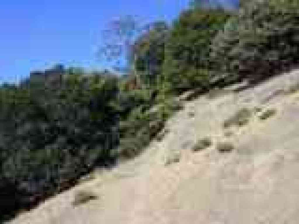 Eagle Trail