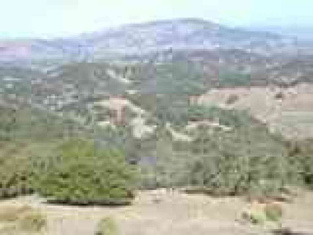 View north