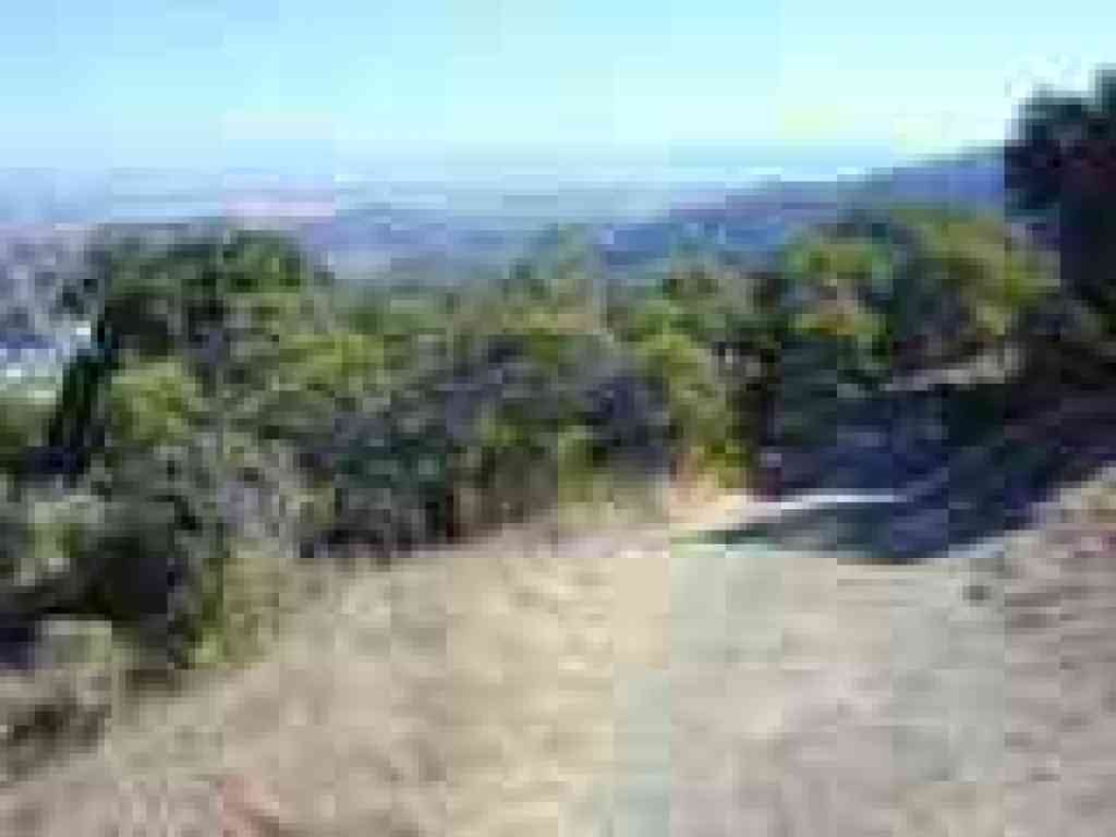 View east