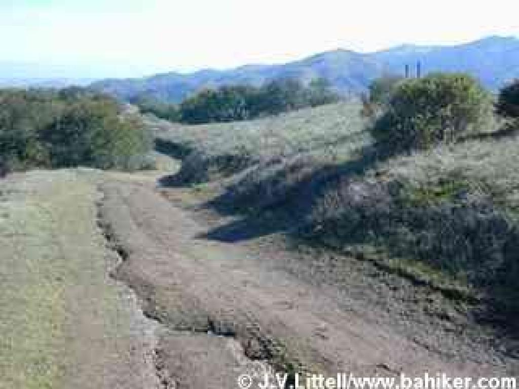 Indian Tree Fire Road