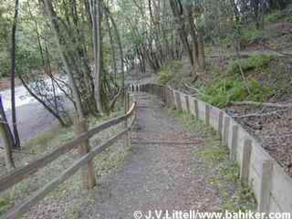 A public trail running along Rebelo Lane
