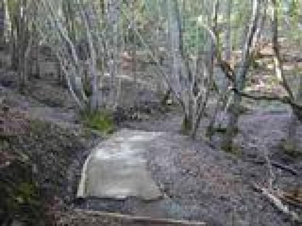 Cement walkway