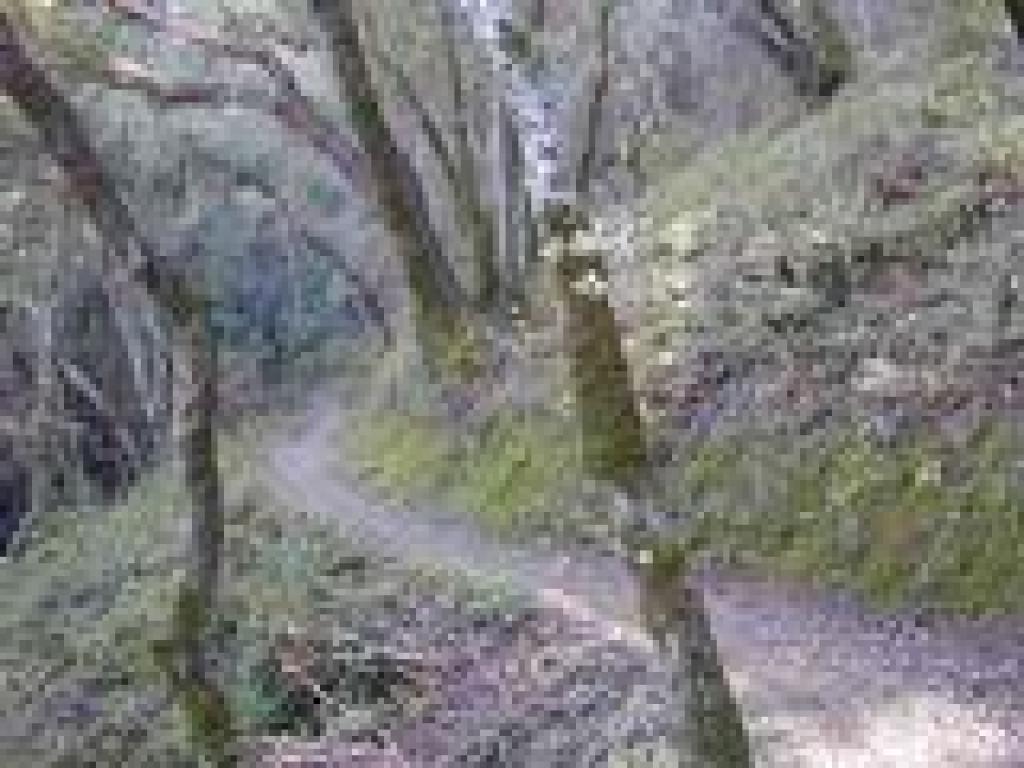 Winding uphill