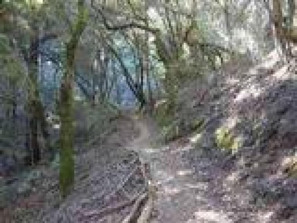 Steeper