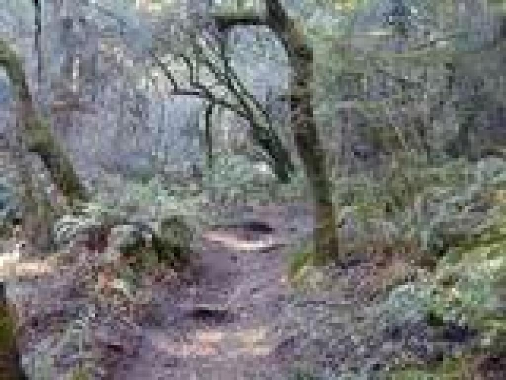 Beautiful area