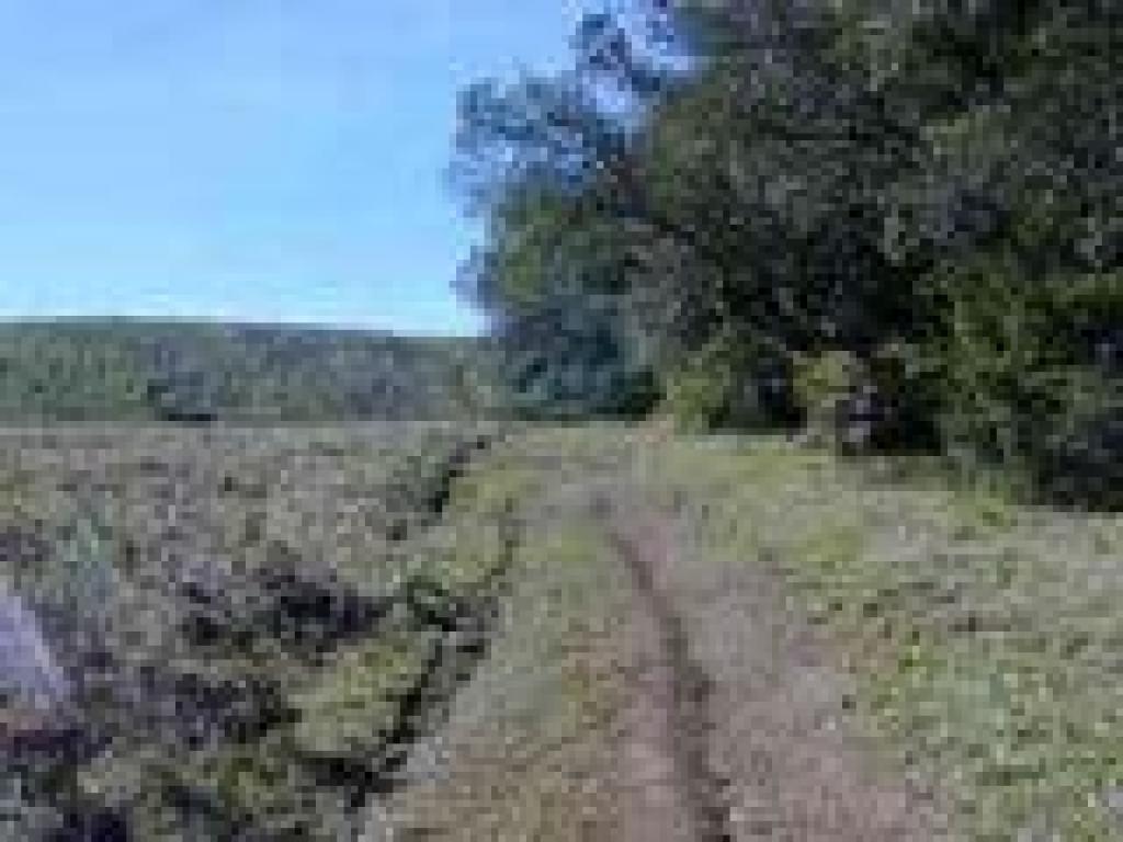 Indian Tree Fire Road