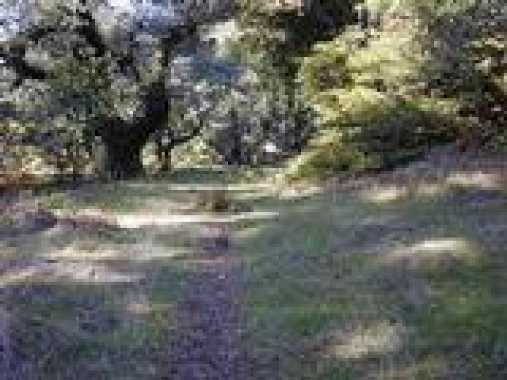End of the trail