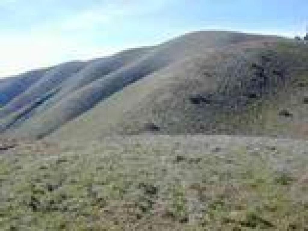 Hills to the south