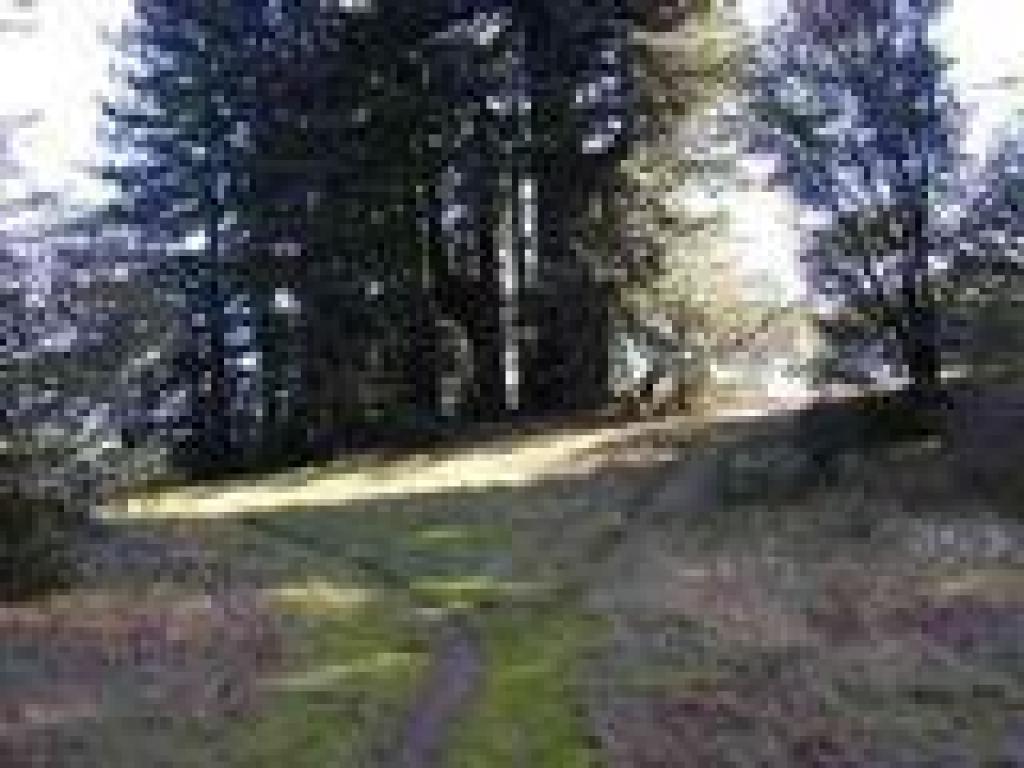 Path to viewpoint