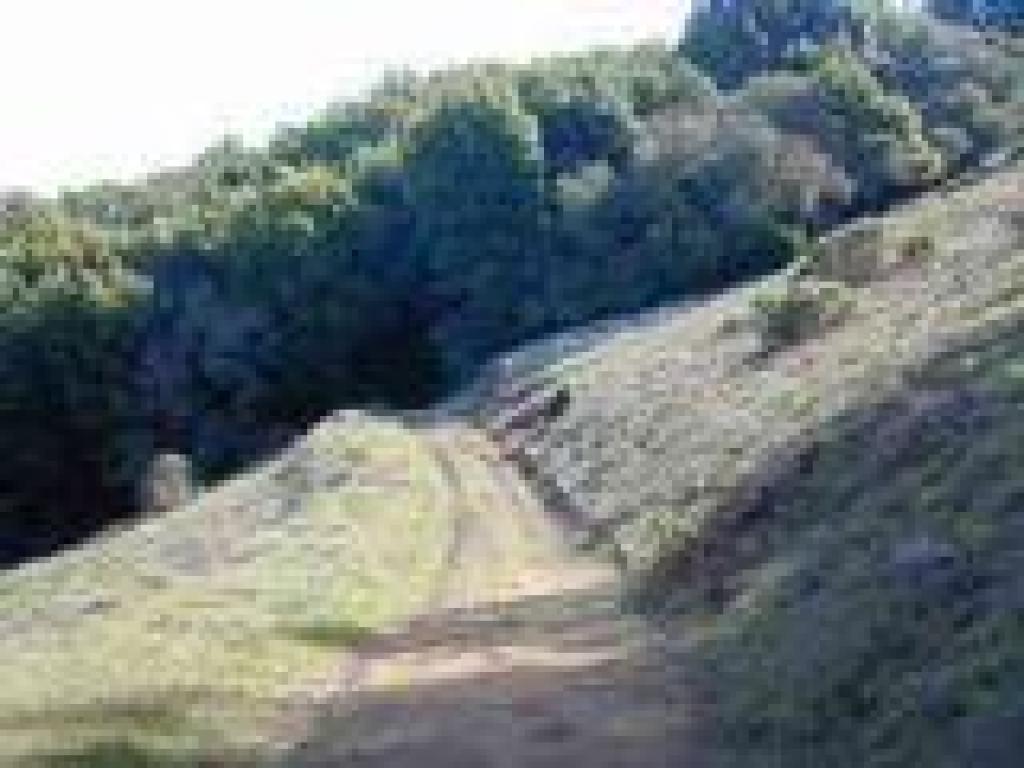 Indian Tree Fire Road