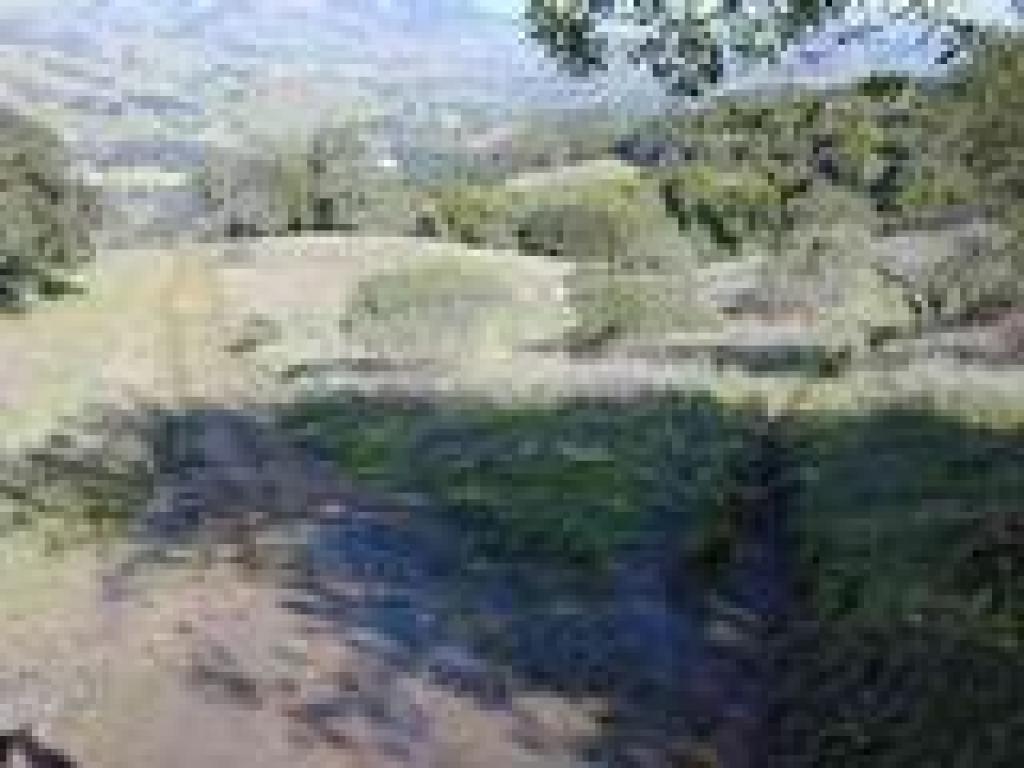Path splits to the right