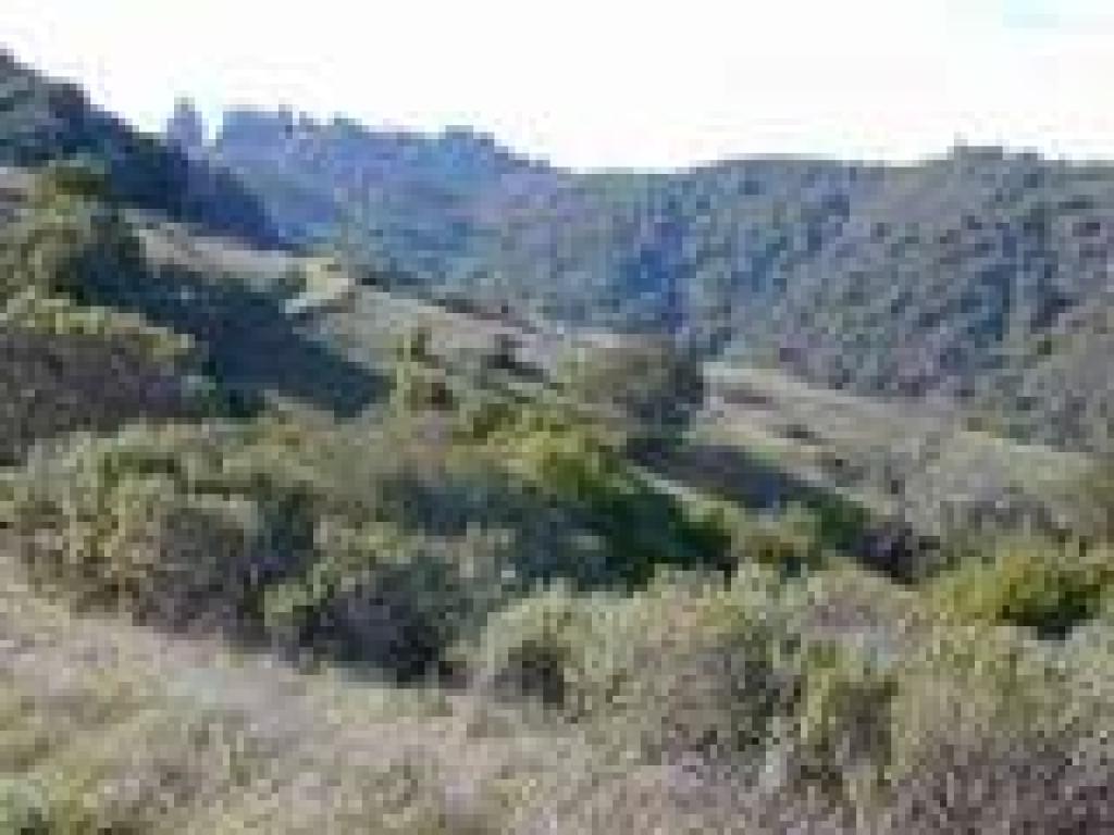 A look back to the ridgetop
