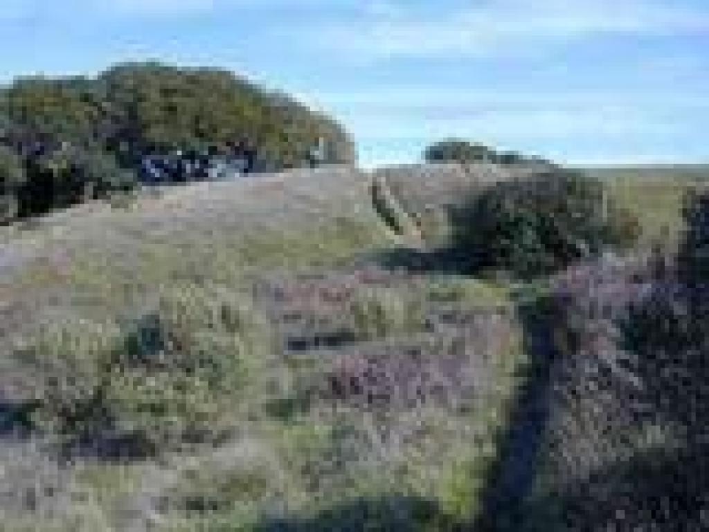 Another shortcut path