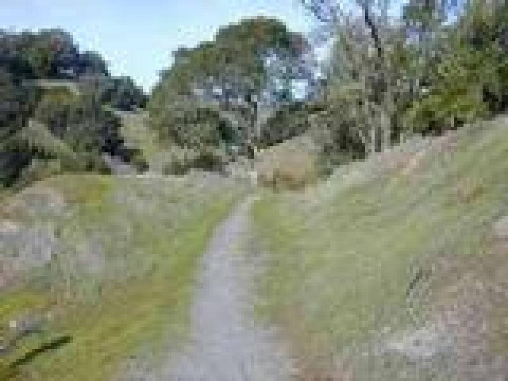 Path