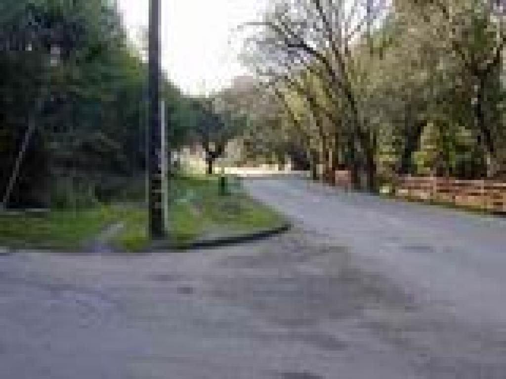 Vineyard Road