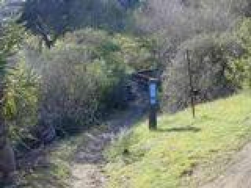 Shortcut path