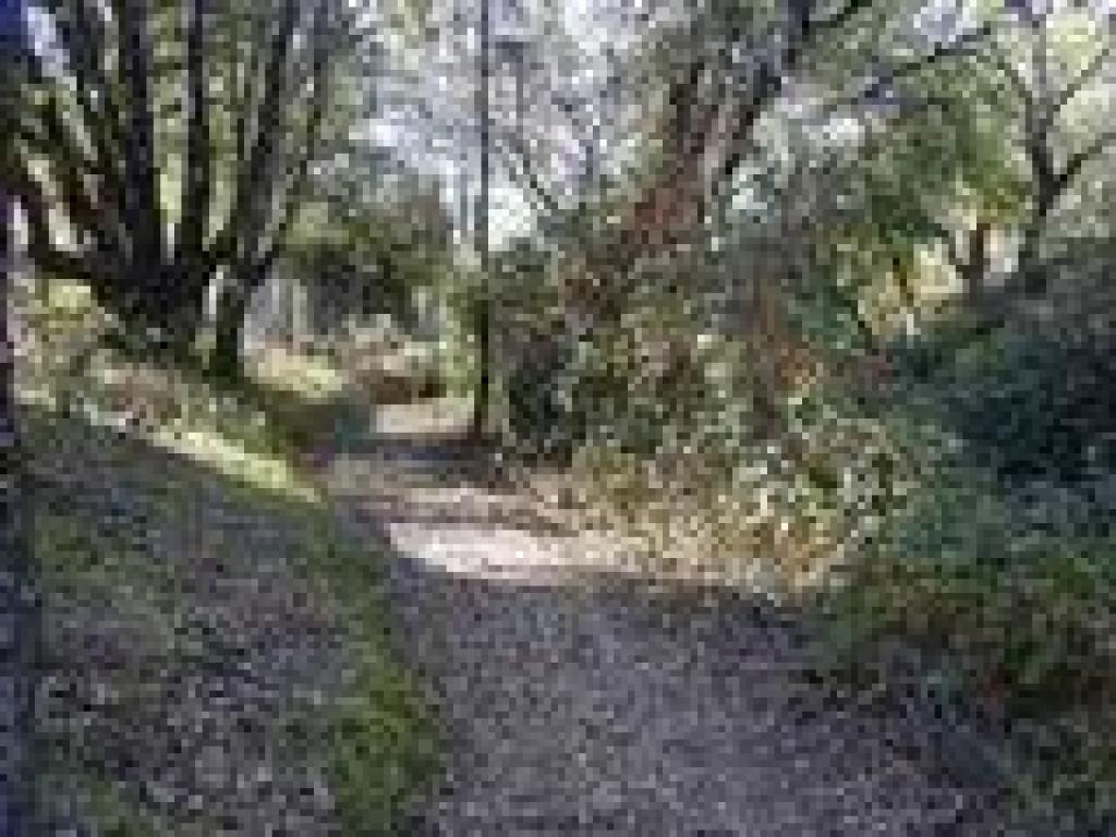 Shortcut path