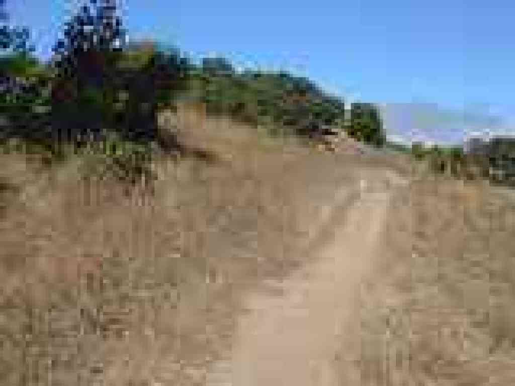 Big Trees Trail