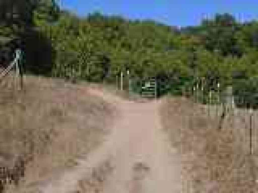 Junction