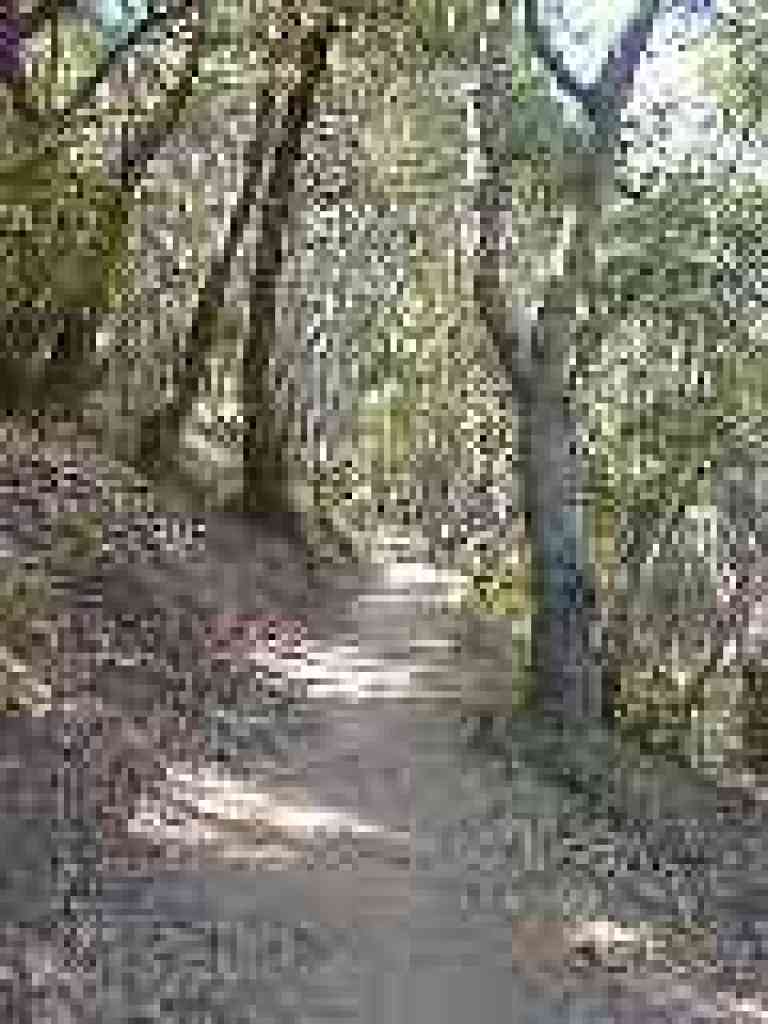 Switchbacking uphill