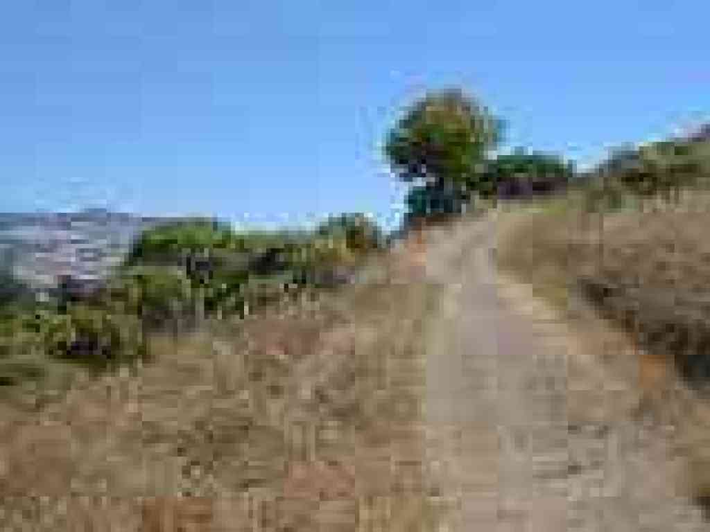 Turn and viewpoint