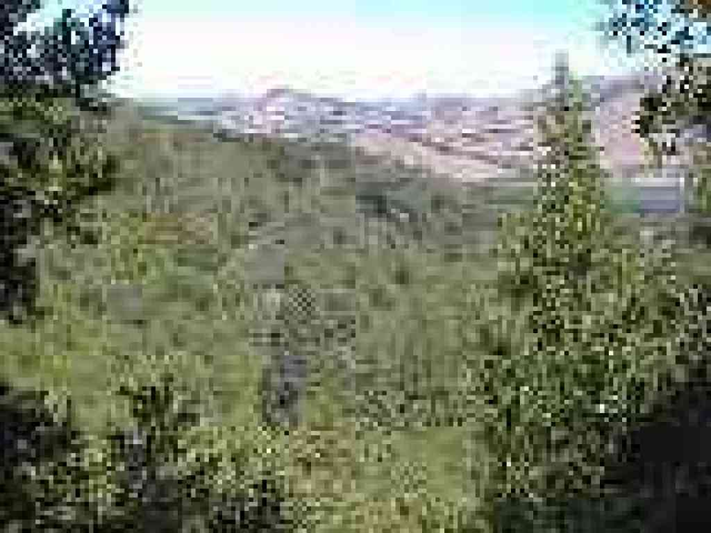 Deeper in the woods the views receed