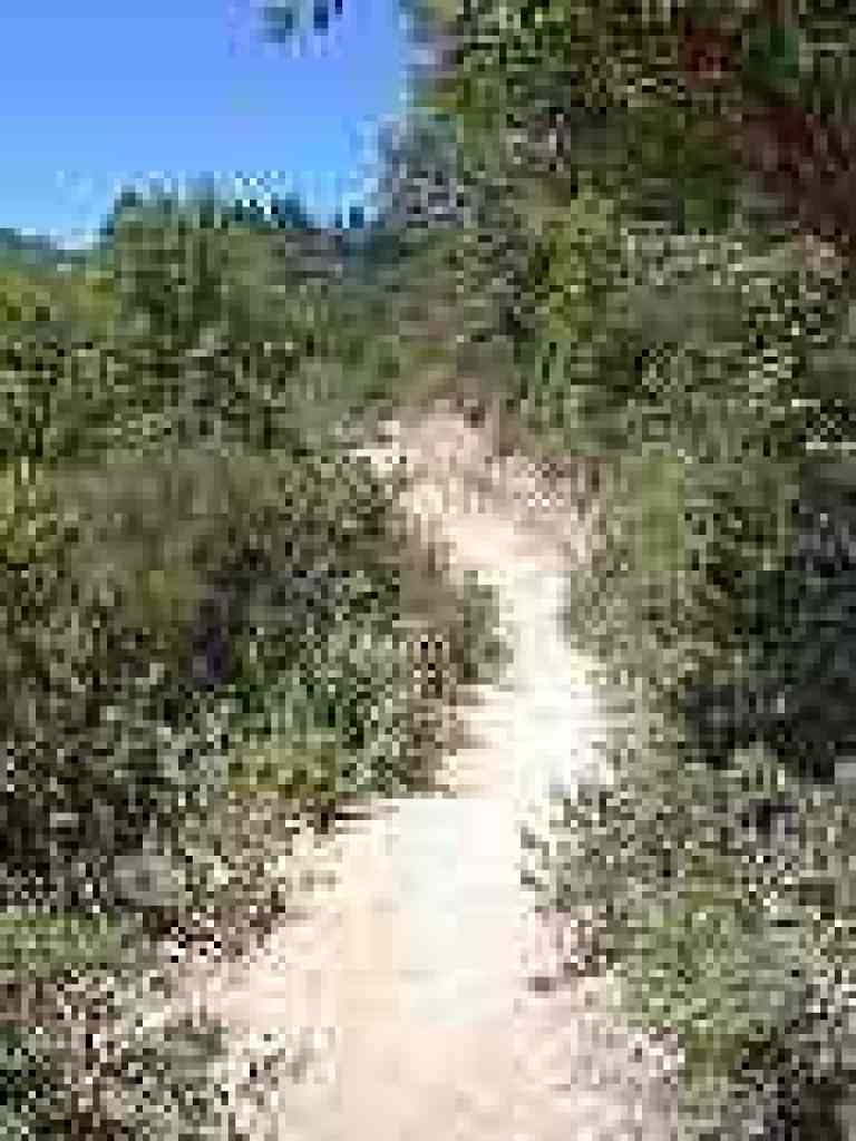 Chaparral