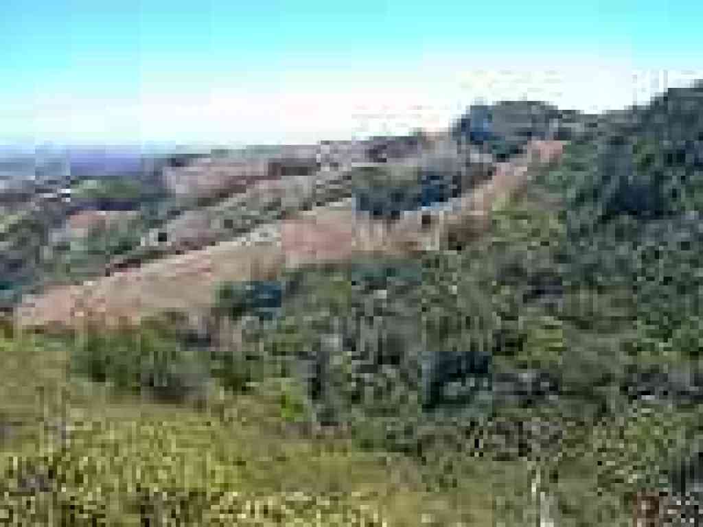 View to Indian Tree Fire Road