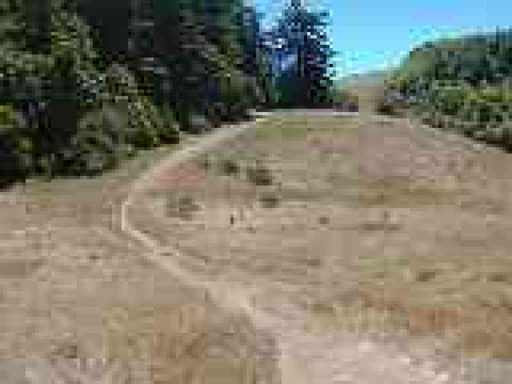 Out into grassland on the ridgetop