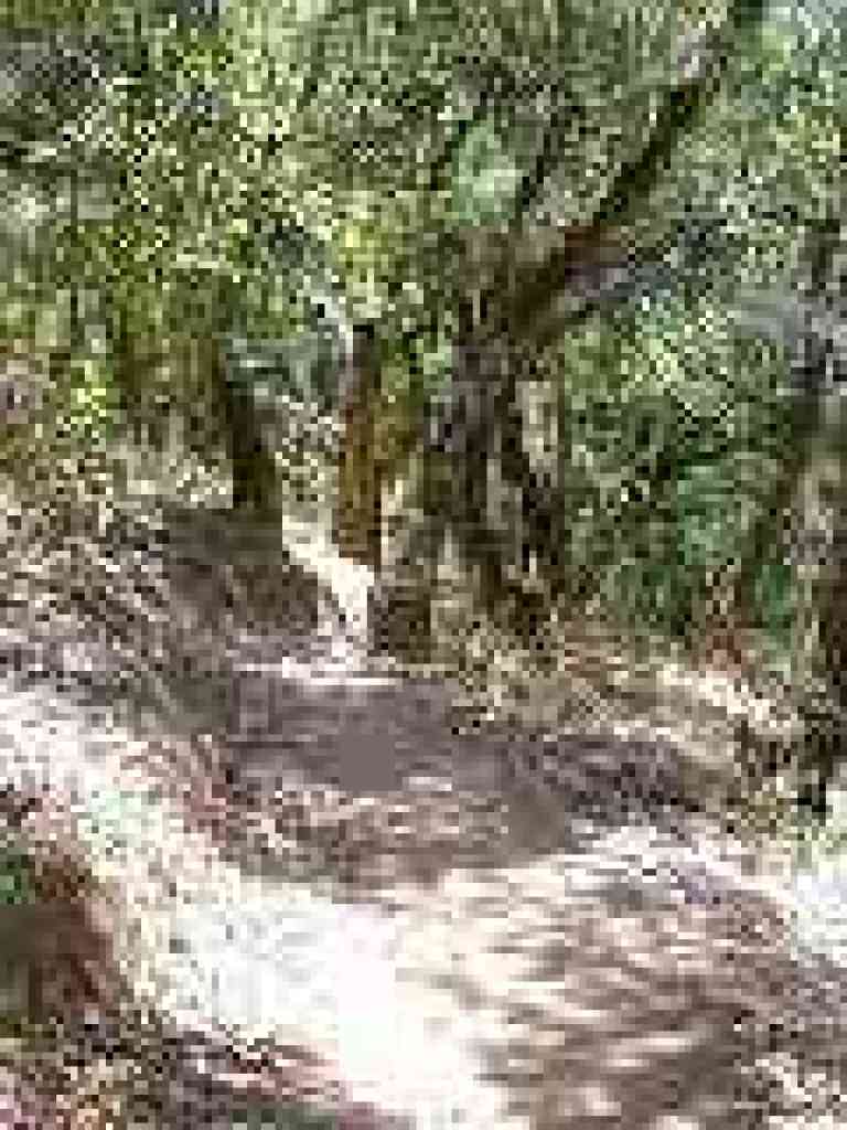 Junction