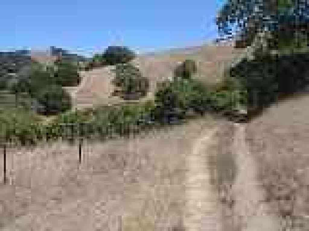 Upper Meadow Trail