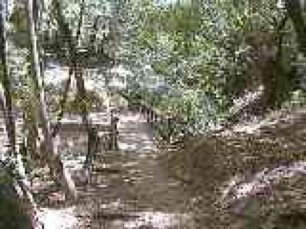 Bridge
