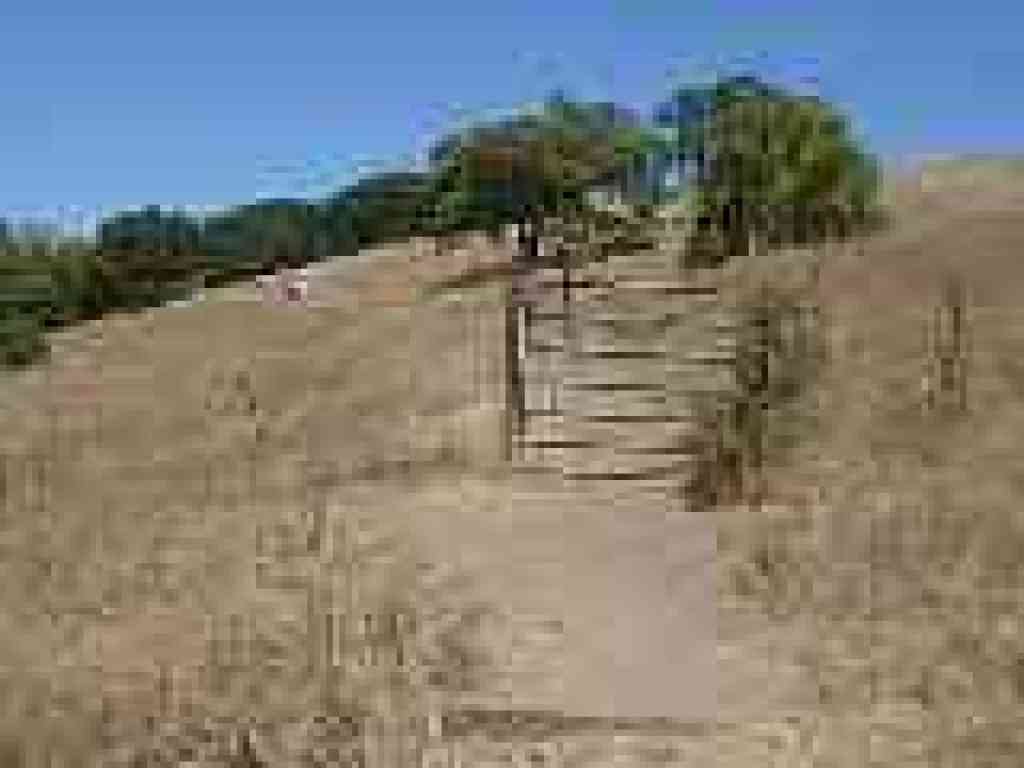 Cattle gate