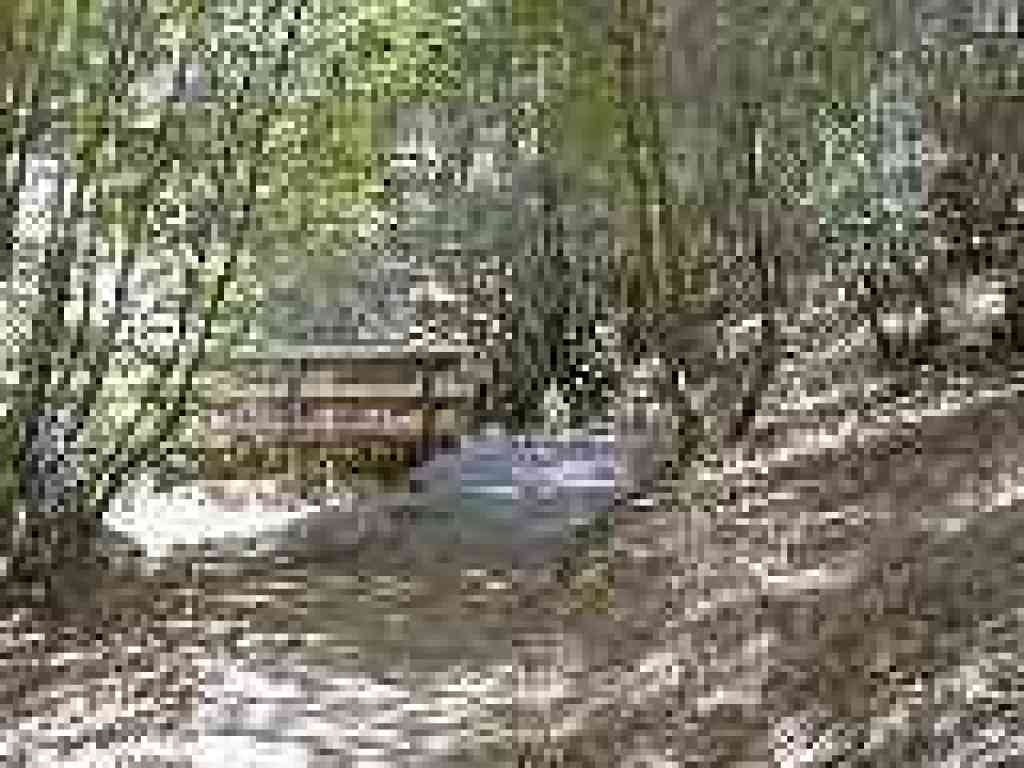 Bridge