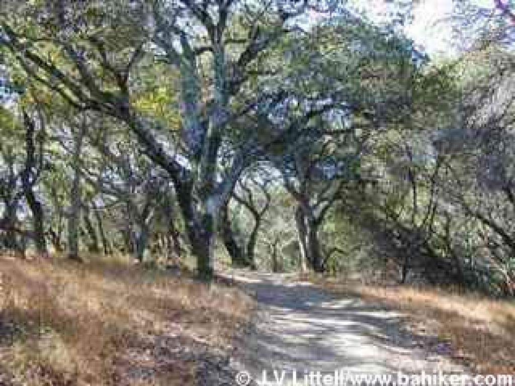Buzzard Burn Access/Hill Ranch Trail