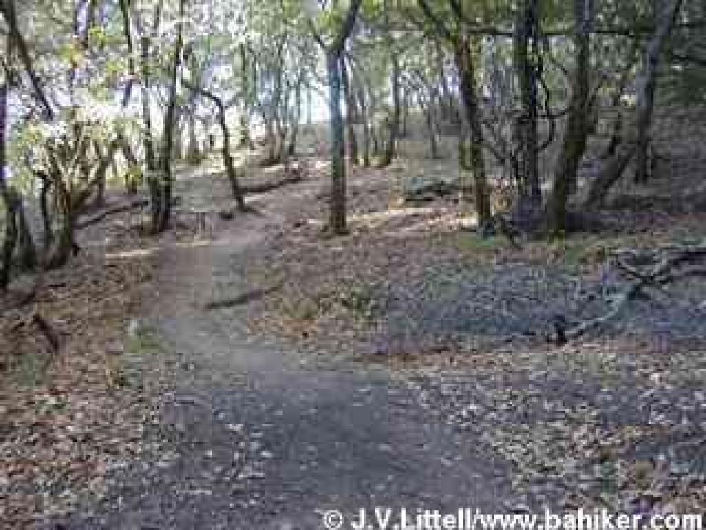 Alexander Trail