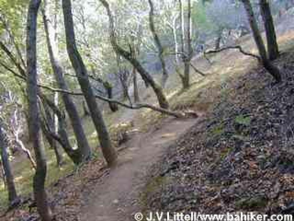 Alexander Trail