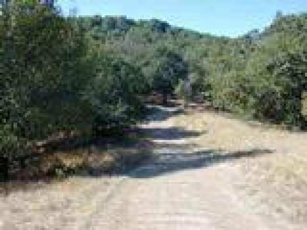 Buzzard Burn Access