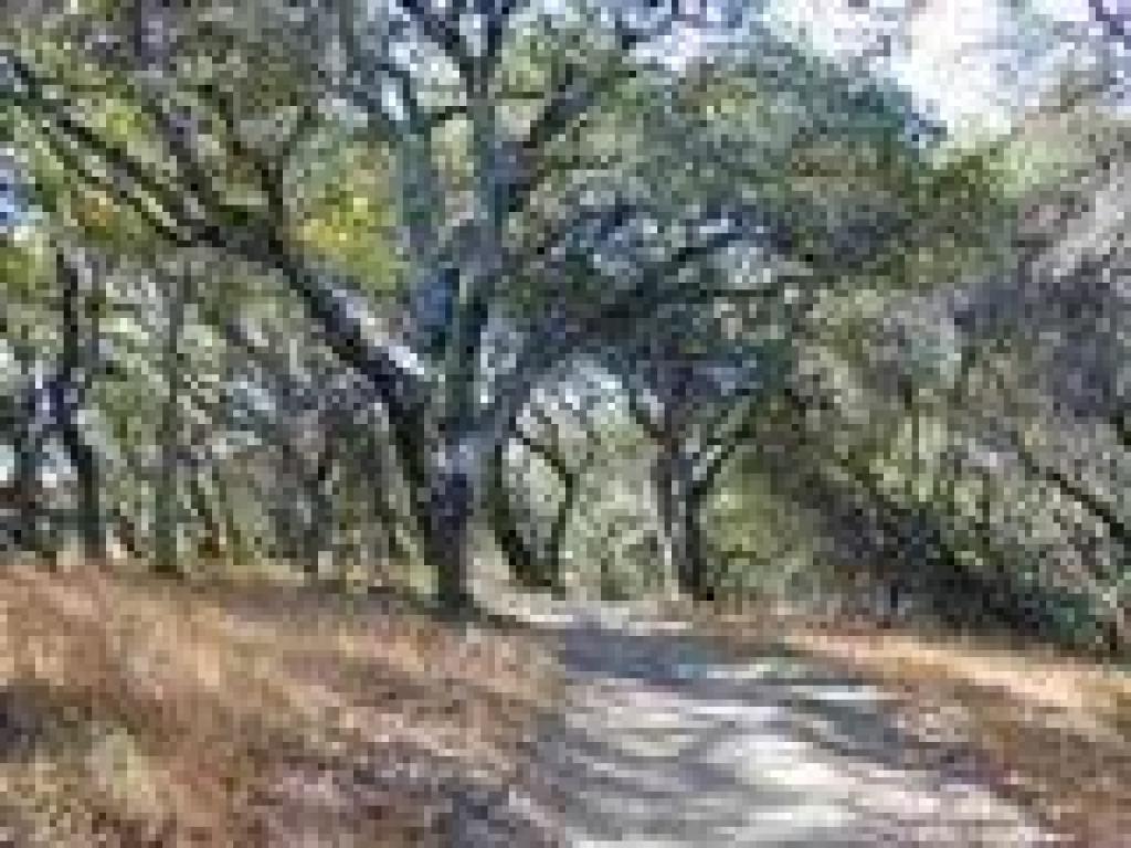 Continuing uphill