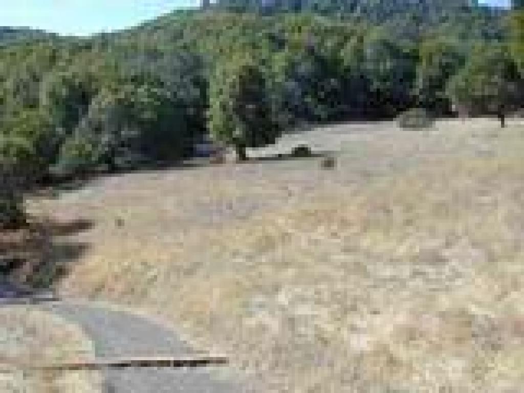Skirting a sloping meadow