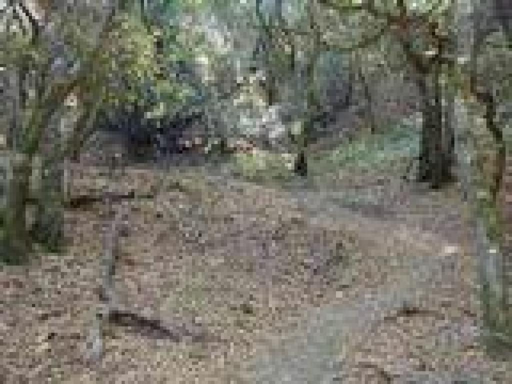 Start of Alexander Trail