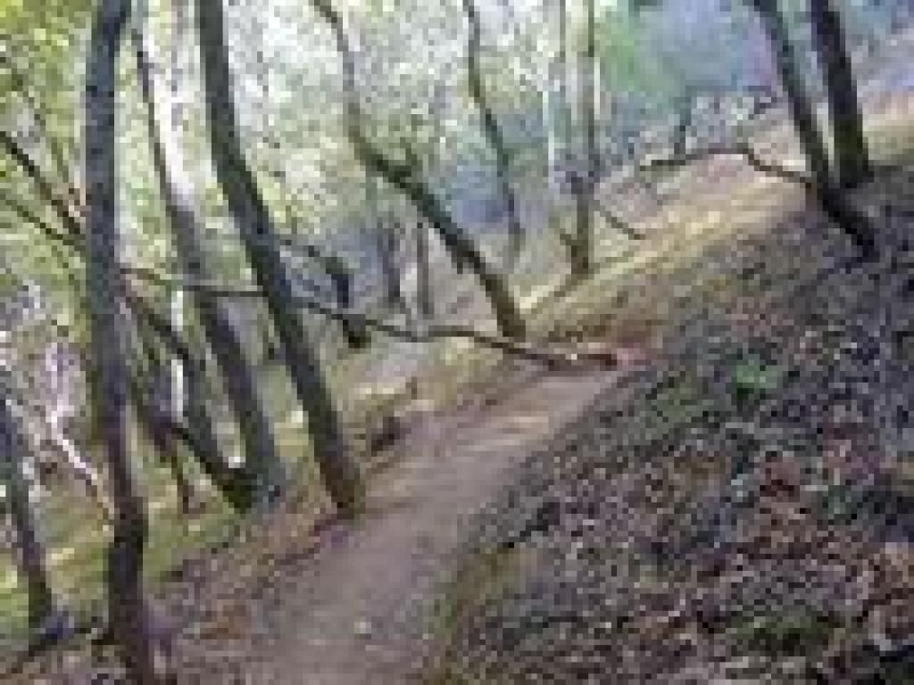 Alexander Trail