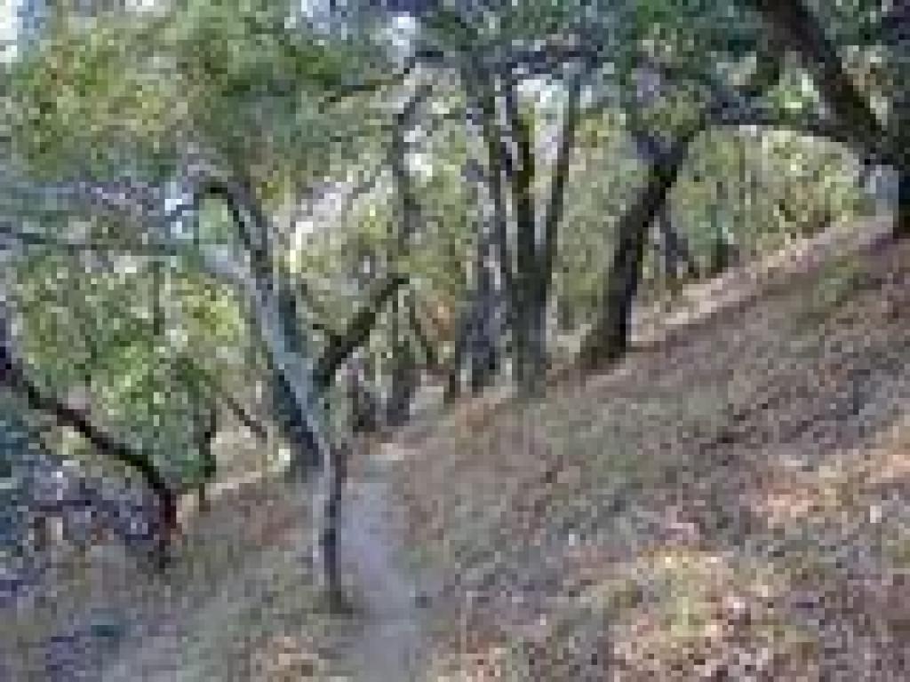 Alexander Trail