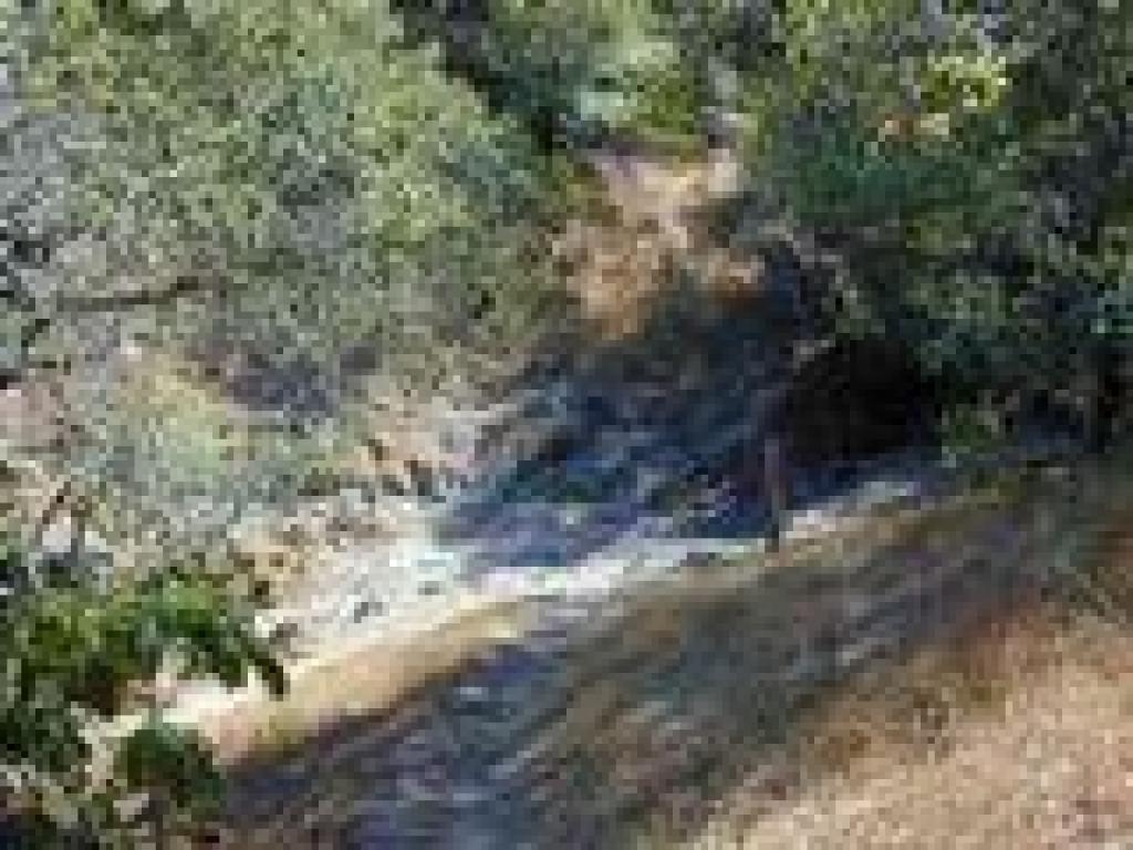 Junction with Waterfall Trail