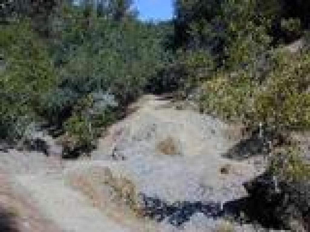 Crossing creekbed