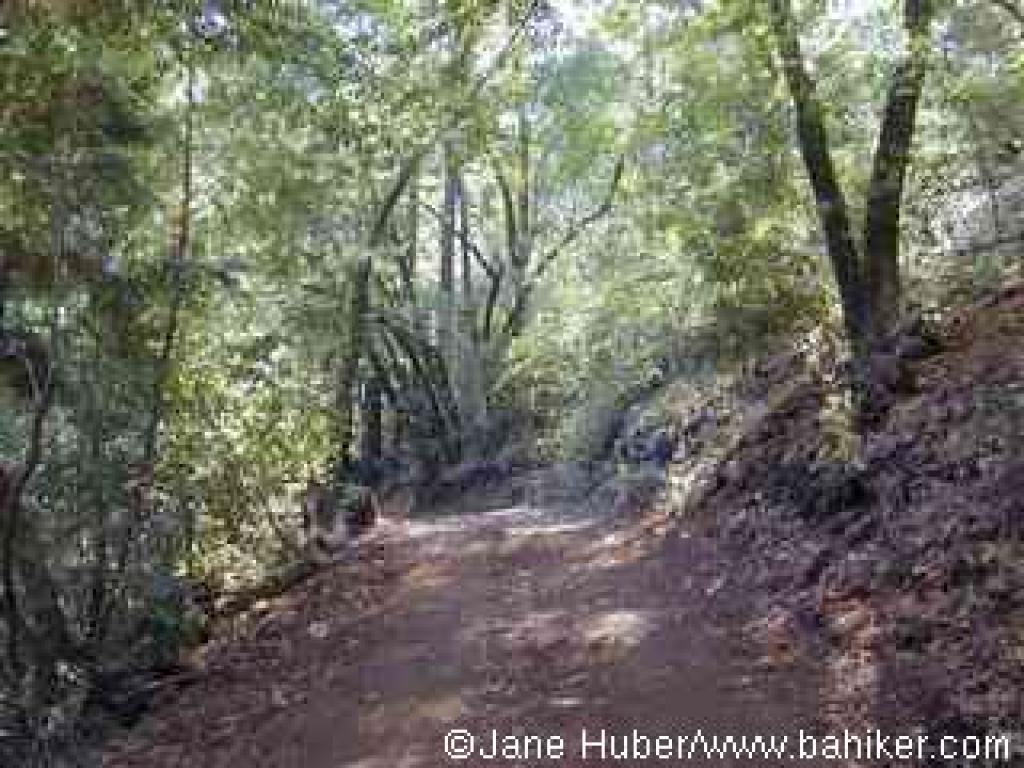 Mountain Trail