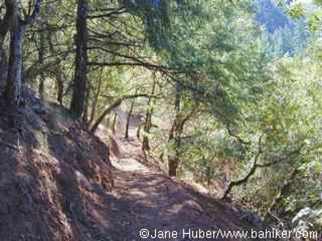Returning on Sonoma Ridge Trail