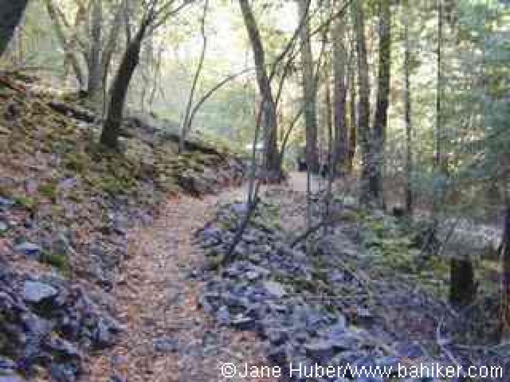 Sonoma Ridge Trail